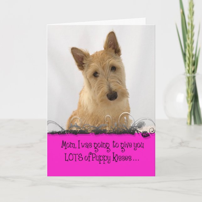 Carte Permis de Licker du jour de mère d'Annie (Devant)