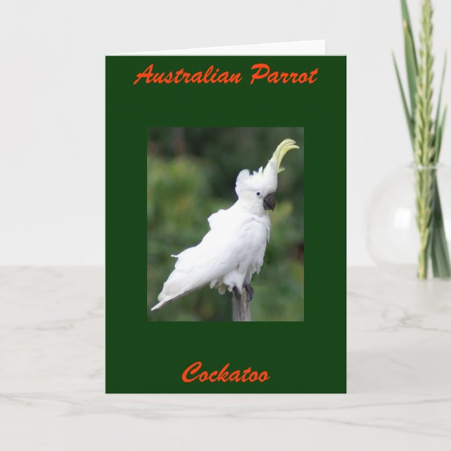 Carte Perroquet australien, Cockatoo (Devant)