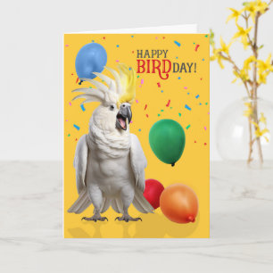 Carte Perroquet Cacatoès Drôle Humour Anniversaire