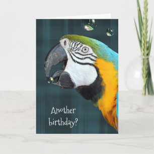 Carte perroquet d'anniversaire humoristique avec bulles