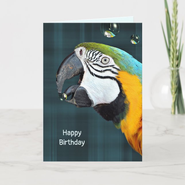 Carte Perroquet macaw avec bulles anniversaire sur plaid (Devant)