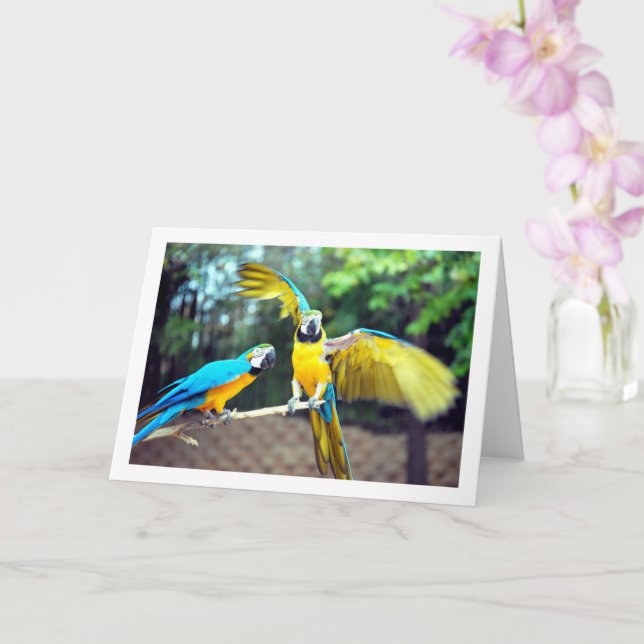 Carte Perroquets bleus et jaunes (Orchidée)