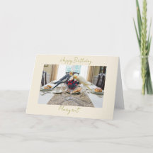 Perroquets Nymphes Mangeant des Baies Anniversaire
