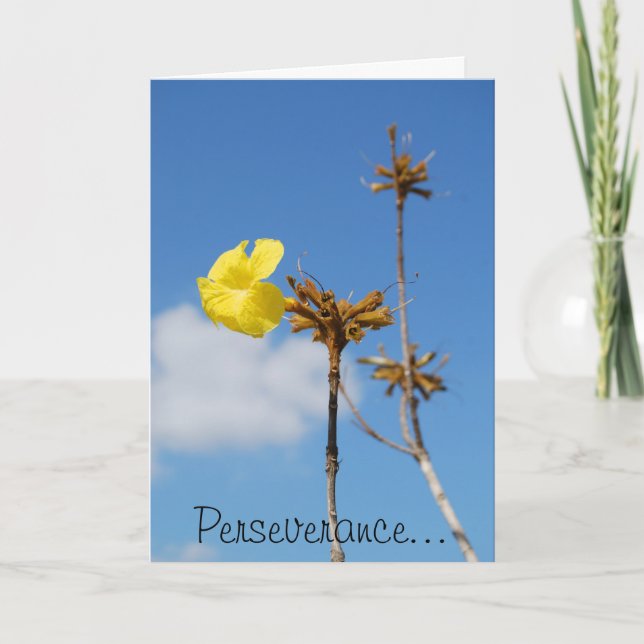 Carte Persévérance (Devant)