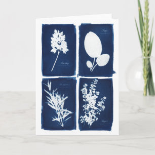 Carte Persil blanc sage de Rosemary et de thym