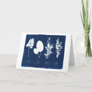 Carte Persil blanc sage de Rosemary et de thym