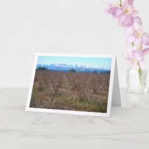 Carte Persimmon Fruit Field et Snowy Mountains