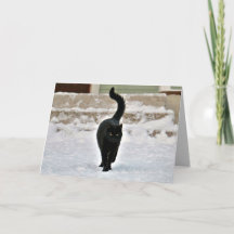 Carte personnalisable Black Kitty Cat Cute