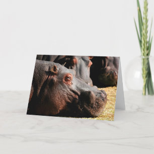 Carte personnalisable d'attitude d'hippopotame