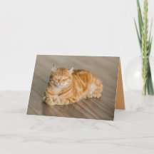 Carte personnalisable de chaton mignon orange