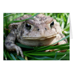 Carte personnalisable de crapaud