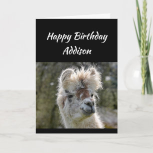 Carte Personnalisé Nom Amusant Anniversaire Mauvais Chev