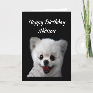 Carte Personnalisé Nom Fun Anniversaire mignon Happy Chi