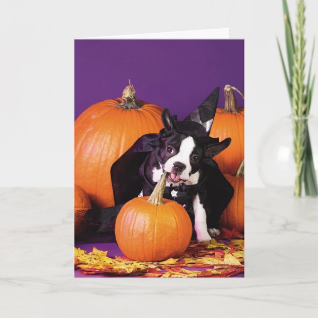 Carte personnalisée Halloween citrouille de Boston (Devant)