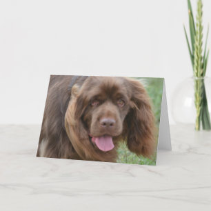 Carte Personnaliser
