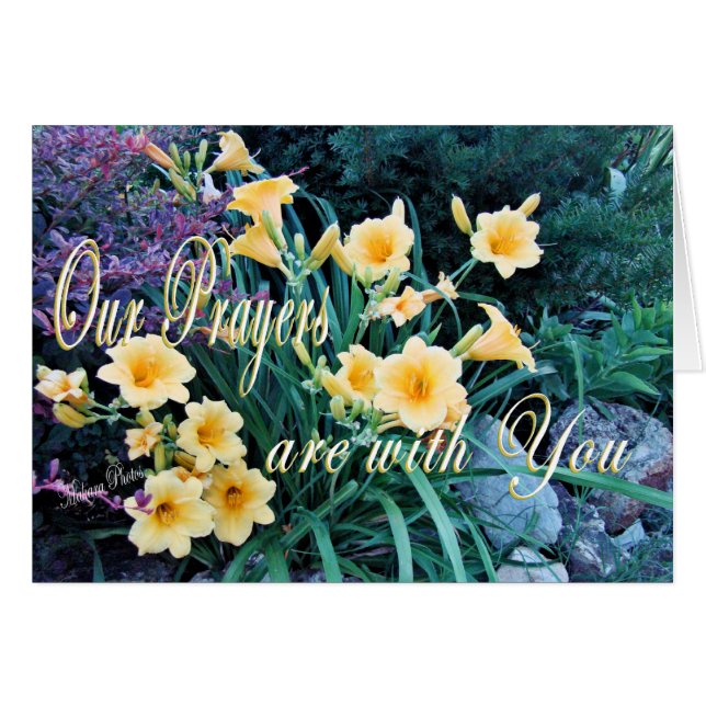 Carte-personnaliser de DayLilyPrayer (Devant horizontal)