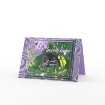 Personnaliser secrète de la soeur Toilettes-Bfly