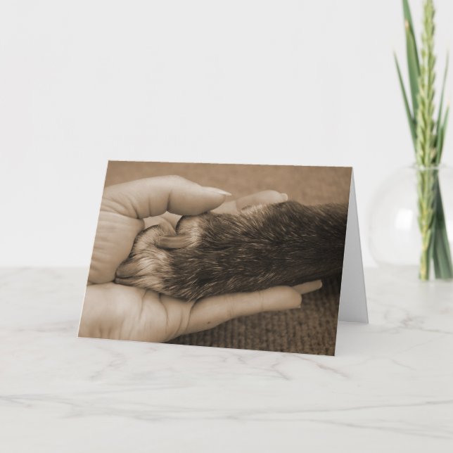 Carte Perte d'animal familier (Devant)