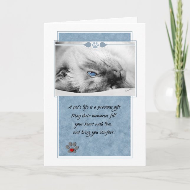Carte Perte de chat Siamese sur Blue Pet Sympathie (Devant)