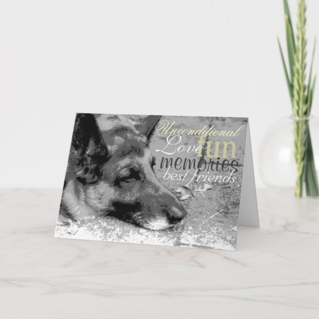 Carte Perte d'un animal de compagnie (Devant)