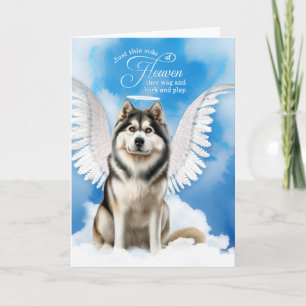 Carte Perte d'un animal de compagnie malamué de l'Alaska