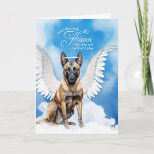Carte Perte d'un chien Angel Belge Malinois Sympathie po