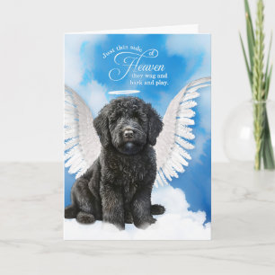Carte Perte d'un chien de labradoodle noir Sympathie de 
