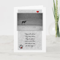 Perte d'un chien de plage thème animal de compagni