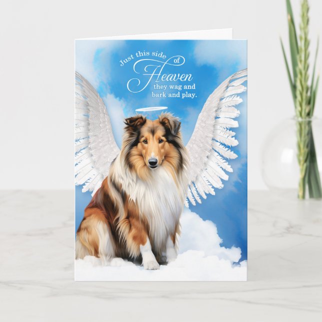 Carte Perte d'une collie chien animal de compagnie Sympa (Devant)