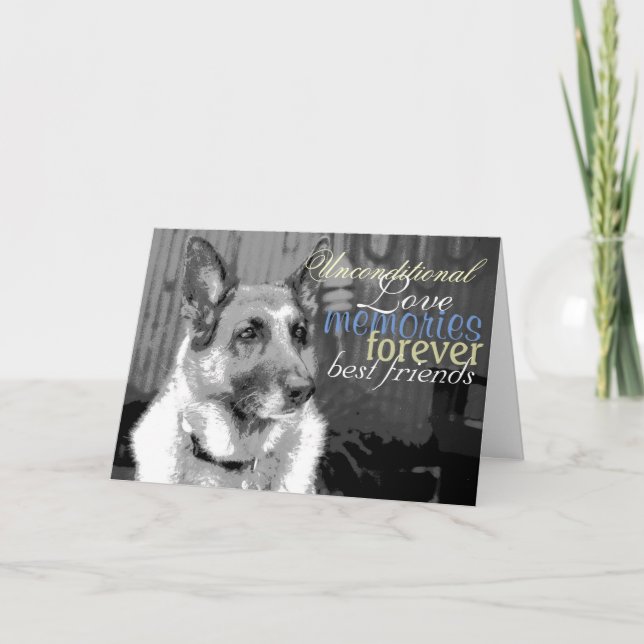 Carte Perte sympathique d'un animal de compagnie (Devant)