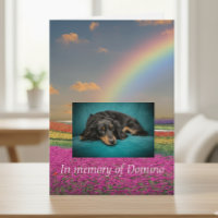 Pet Chien Chat Rainbow Bridge Sympathie Photo pers