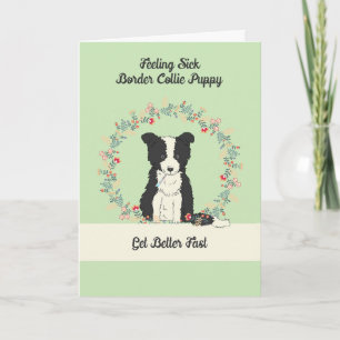 Carte Pet Get Well Card pour Bordure Collie Puppy