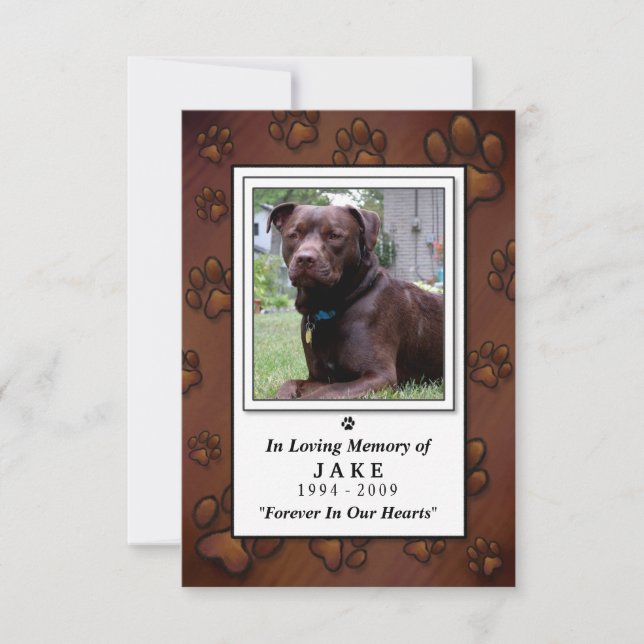 Carte Pet Memorial 3.5"x5" - Photo Brown au chocol (Devant)