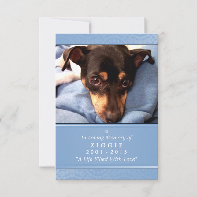 Carte Pet Memorial 3.5 x 5 Bleu - Poème Contesté (Devant)