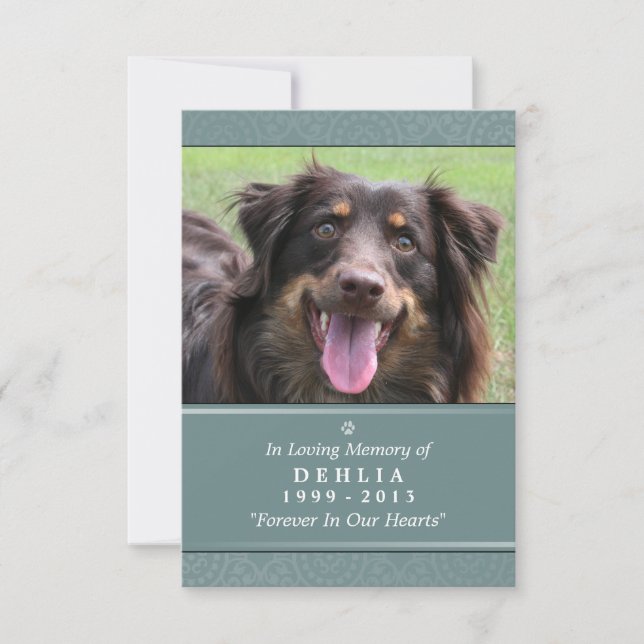 Carte Pet Memorial 3.5x5 Turquoise - Ne pas pleure (Devant)