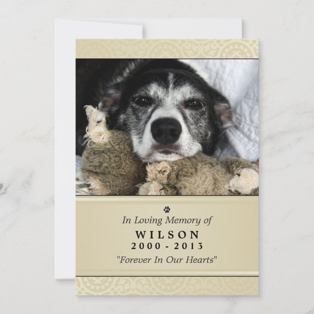 Carte Pet Memorial 5"x7" Creme Photo moderne (Devant)