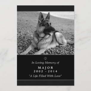 Carte Pet Memorial 5"x7" Noir - Poème de jardin de