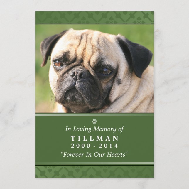 Carte Pet Memorial 5"x7" Photo verte - Homme (Devant)