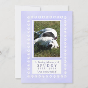 Carte Pet Memorial 5x7 - Empreintes bleu paradisia