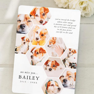 Carte Pet Memorial Modern Simple 10 Photo Collage Card