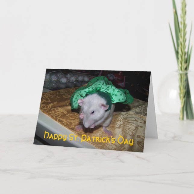 Carte Pet Rat Ruby St. Pat's Greeting Card (Devant)