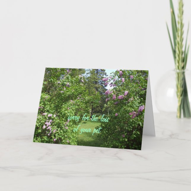 Carte Pet Sympathy-lilac Bush (Devant)