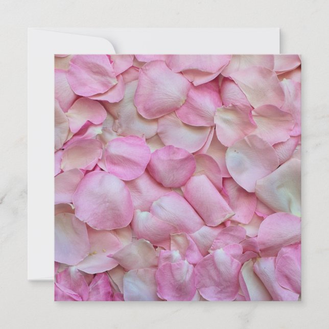 Carte Pétales de rose rose (Devant)