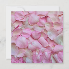 Carte Pétales de rose rose