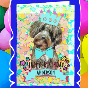 Carte Petit Chien de caniche Aussie Joyeux anniversaire