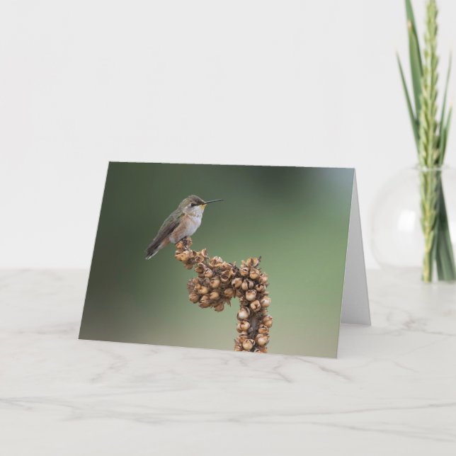 Carte Petit colibri orange (Devant)