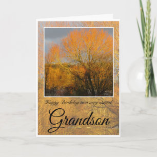 Carte Petit-fils d'anniversaire, arbres d'hiver ensoleil