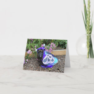 Carte Petit Flutterby