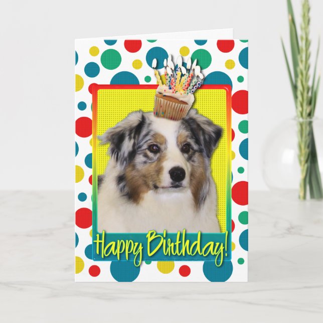Carte Petit gâteau d'anniversaire - berger australien (Devant)