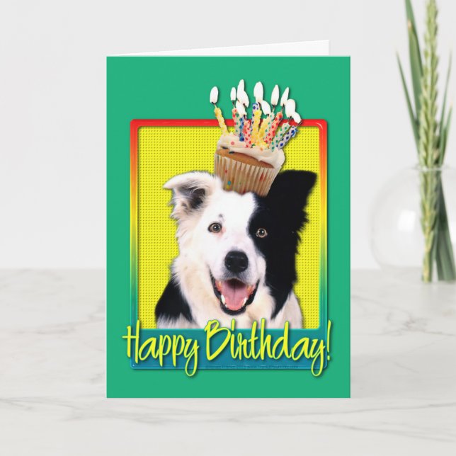 Carte Petit gâteau d'anniversaire - border collie (Devant)